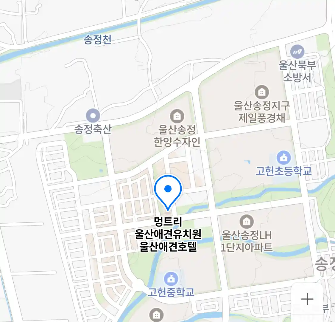 멍트리 울산애견유치원 울산애견호텔 위치
