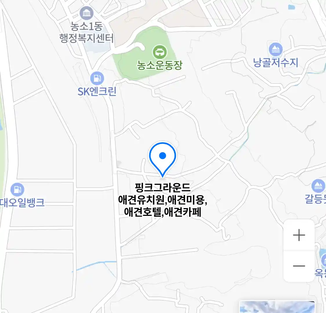 핑크그라운드 애견유치원 위치