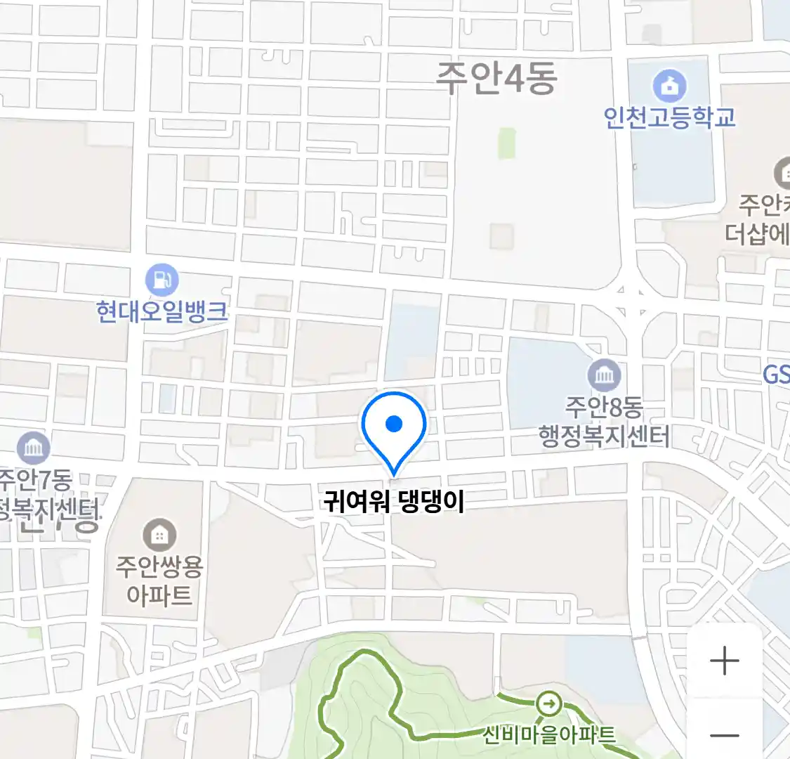 귀여워 댕댕이 위치