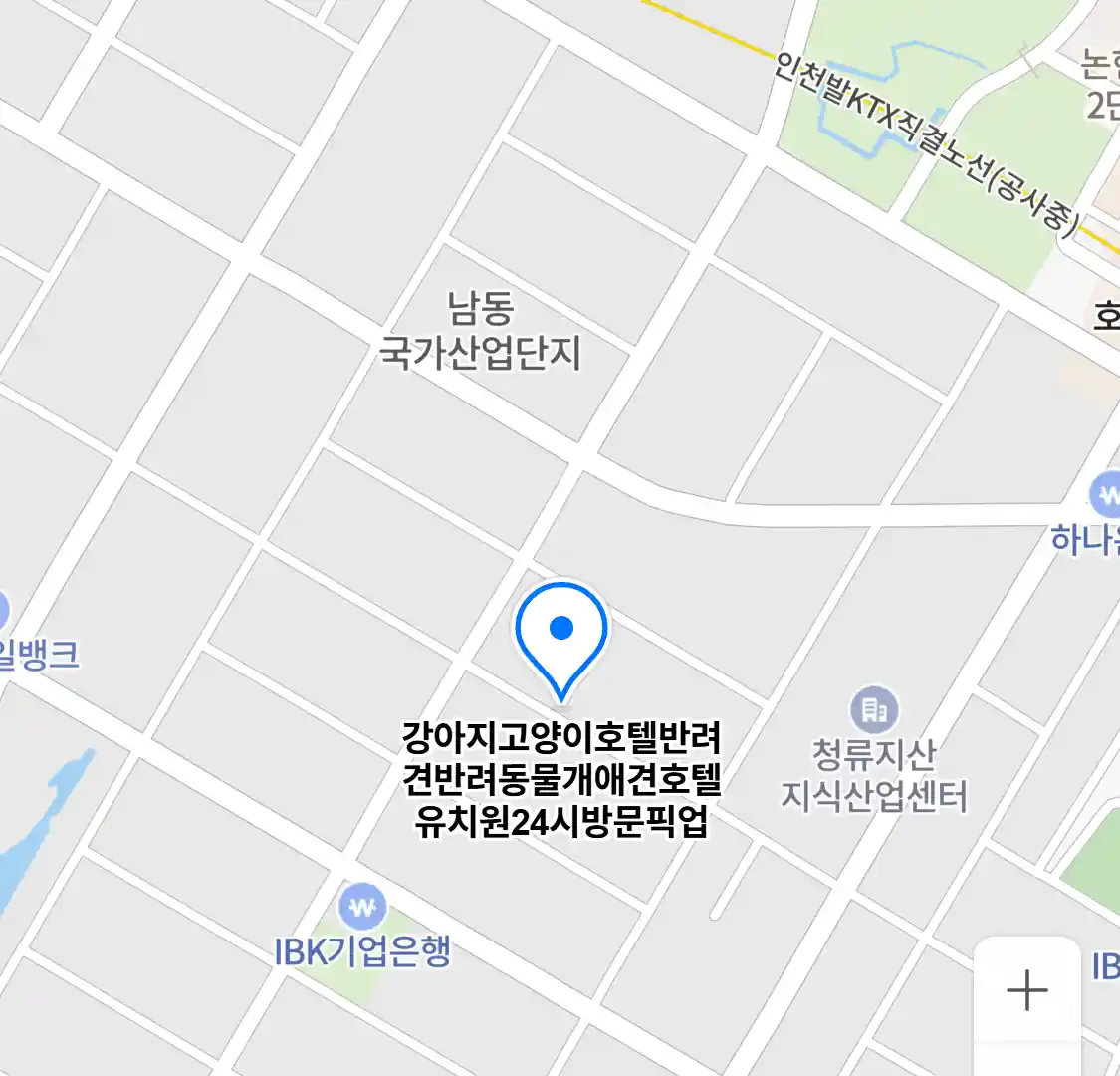 강아지고양이호텔반려견반려동물개애견호텔유치원24시방문픽업 위치