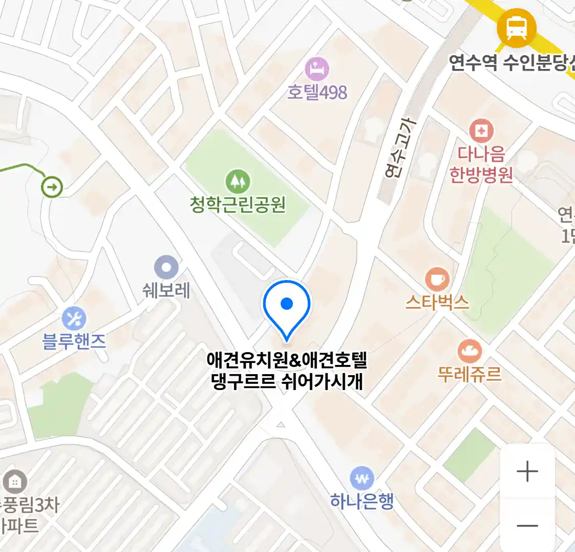 애견유치원&애견호텔 댕구르르 쉬어가시개 위치