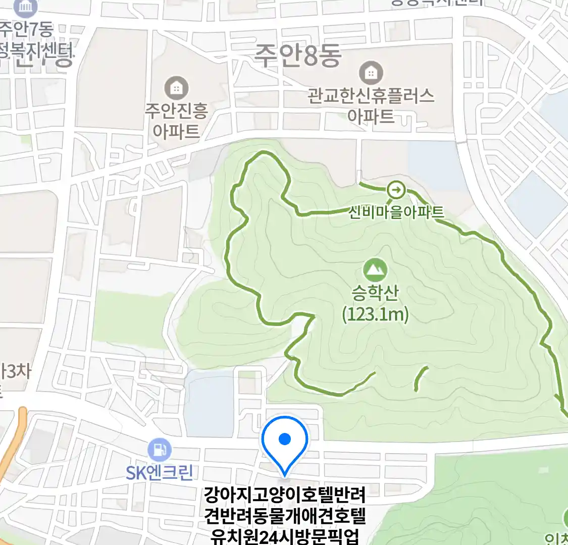 강아지고양이호텔반려견반려동물개애견호텔유치원24시방문픽업