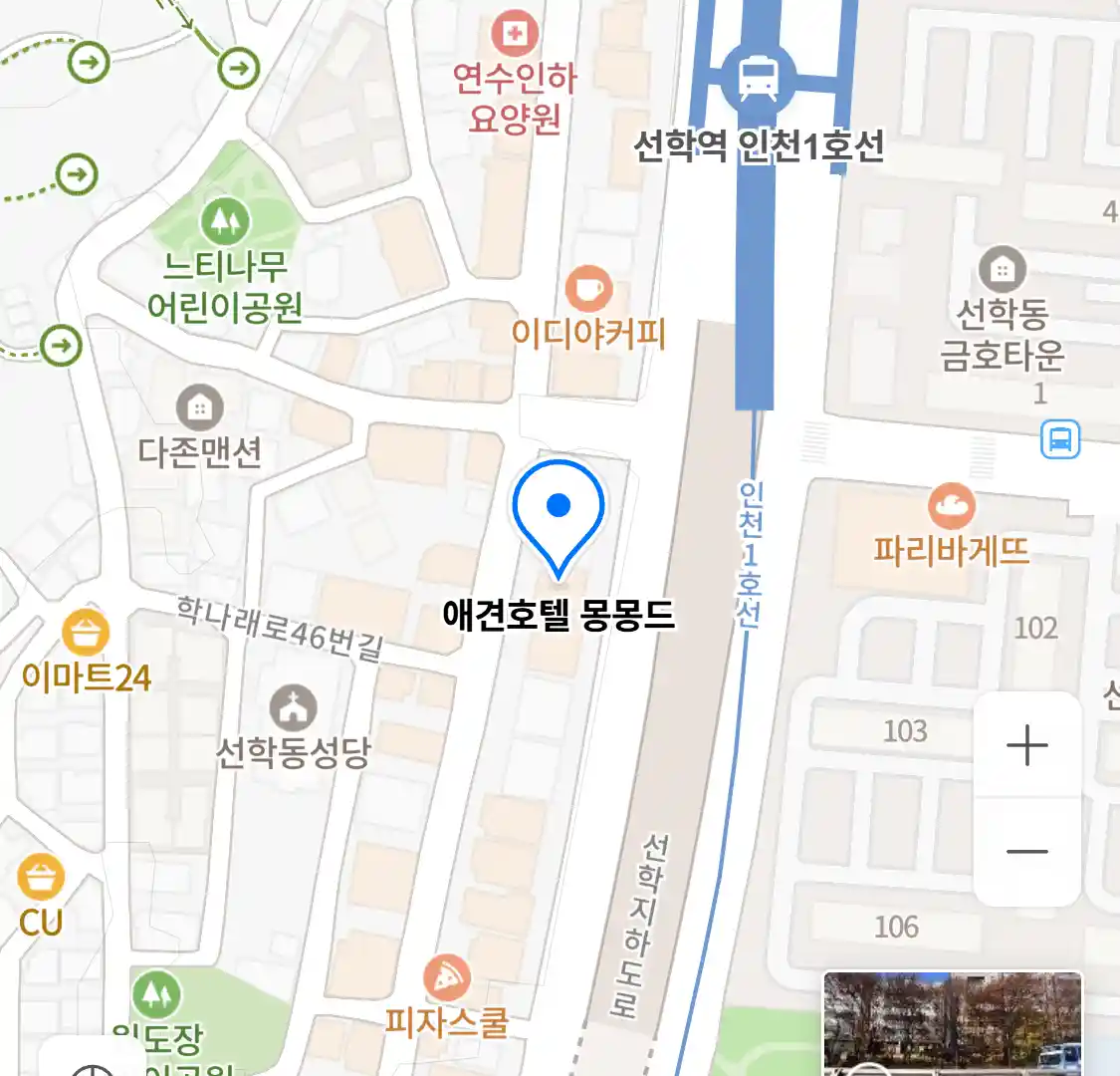 애견호텔 몽몽드