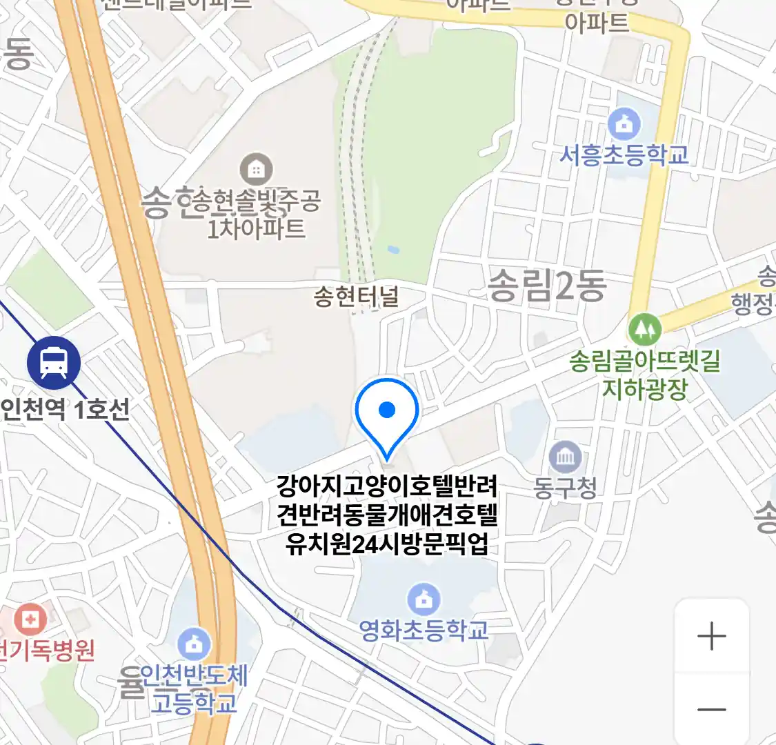 강아지고양이호텔반려견반려동물개애견호텔유치원24시방문픽업 위치