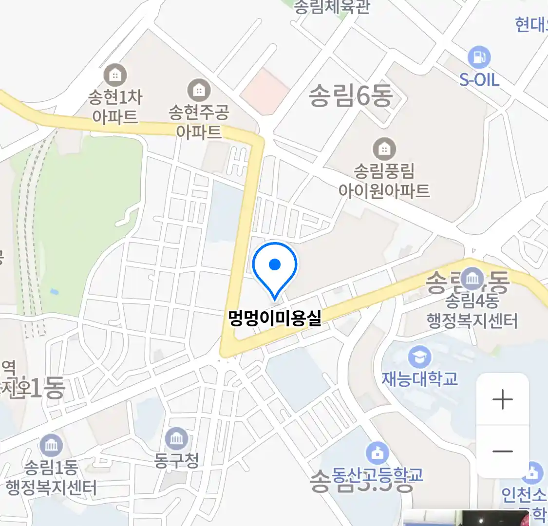 멍멍이미용실 위치