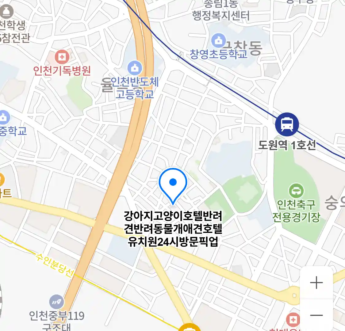 강아지고양이호텔반려견반려동물개애견호텔유치원24시방문픽업 위치