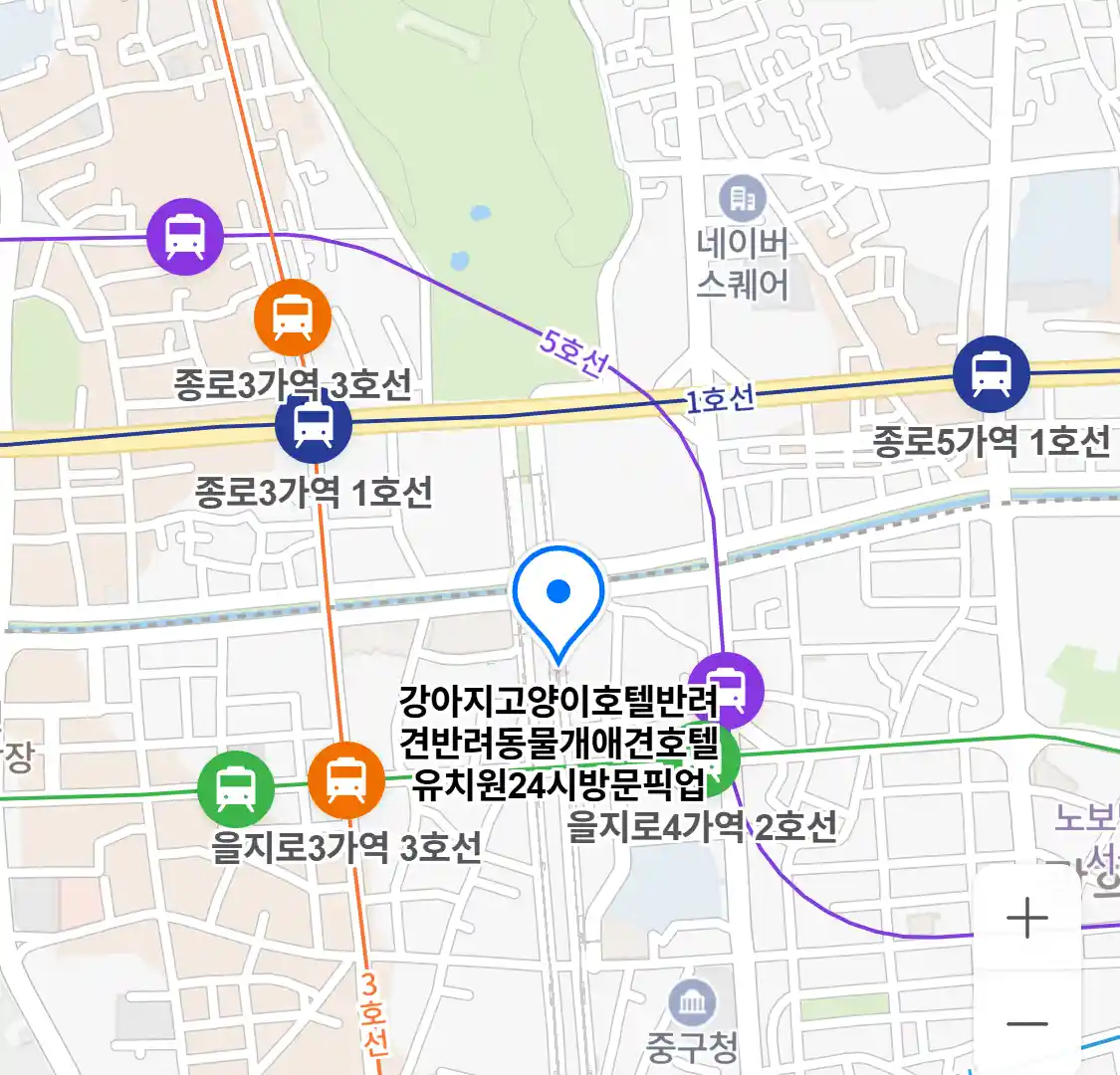 강아지고양이호텔반려견반려동물개애견호텔유치원24시방문픽업 위치