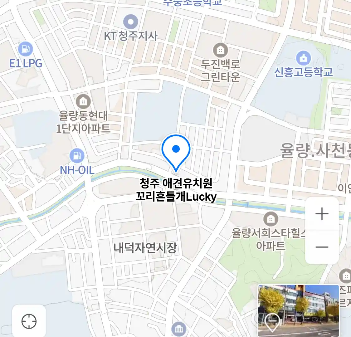 청주 애견유치원 꼬리흔들개Lucky 위치