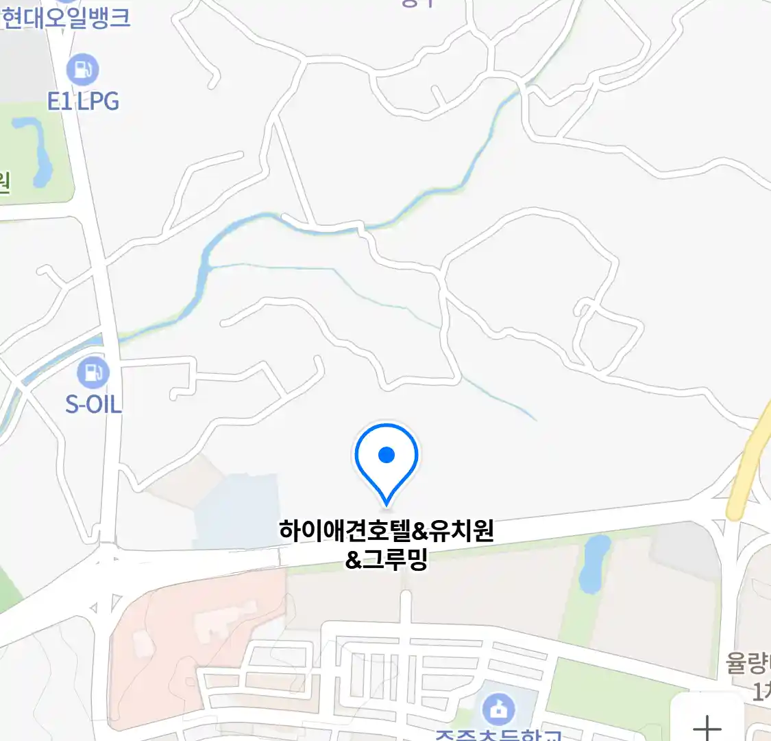 하이애견호텔&유치원&그루밍 위치