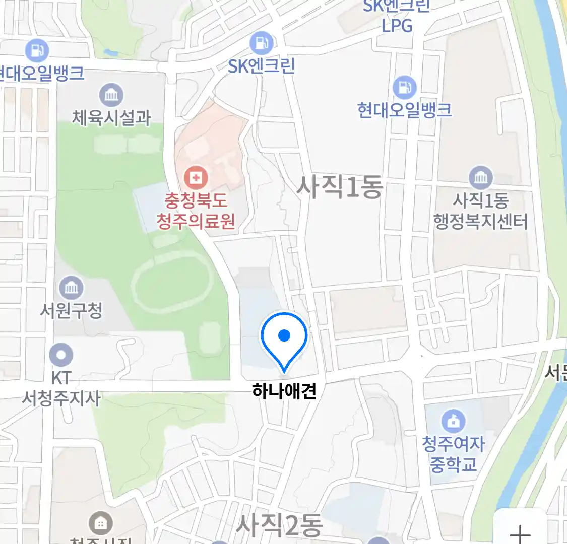 하나애견 위치