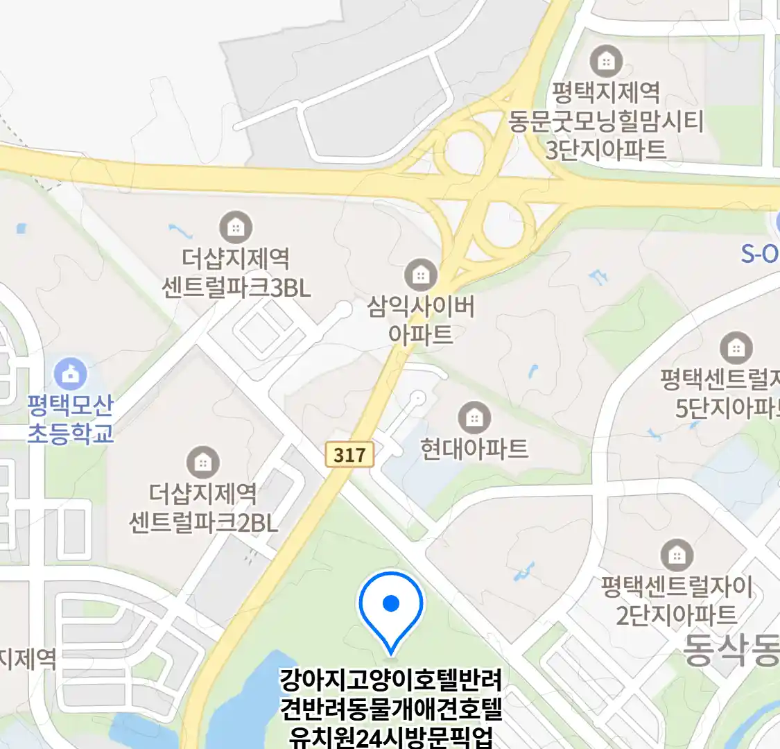 강아지고양이호텔반려견반려동물개애견호텔유치원24시방문픽업 (동삭동) 위치