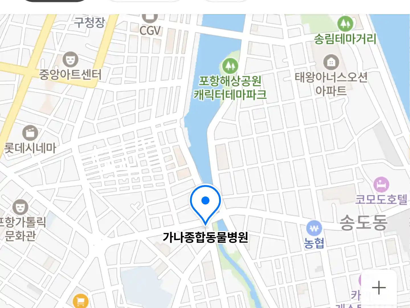 가나종합동물병원 위치