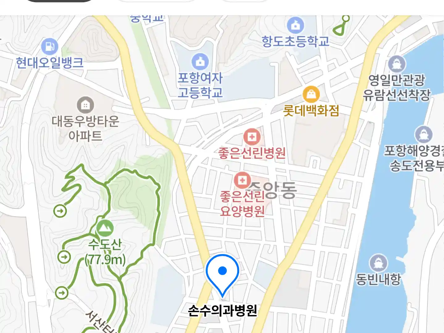 손수의과병원 위치