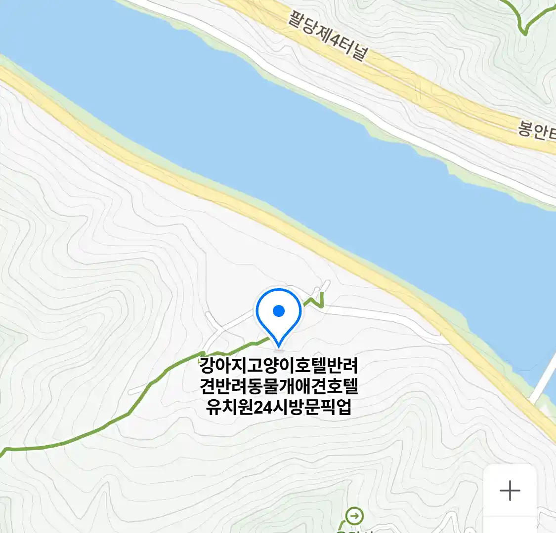 강아지고양이호텔반려견반려동물개애견호텔유치원24시방문픽업 위치