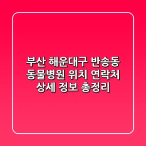 부산 해운대구 반송동 동물병원: 위치, 연락처, 상세 정보 총정리