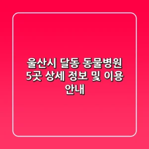 울산시 달동 동물병원 5곳 상세 정보 및 이용 안내