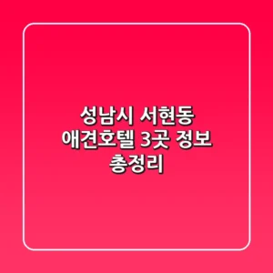 성남시 서현동 애견호텔 3곳 정보 총정리