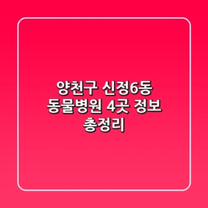 양천구 신정6동 동물병원 4곳 정보 총정리