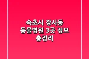 속초시 장사동 동물병원 3곳 정보 총정리