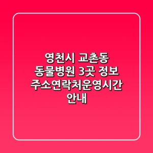 영천시 교촌동 동물병원 3곳 정보 - 주소/연락처/운영시간 안내