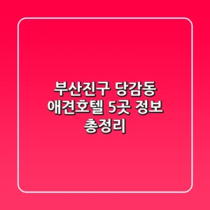 부산진구 당감동 애견호텔 5곳 정보 총정리