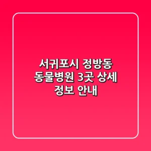 서귀포시 정방동 동물병원 3곳 상세 정보 안내