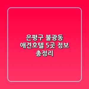 은평구 불광동 애견호텔 5곳 정보 총정리