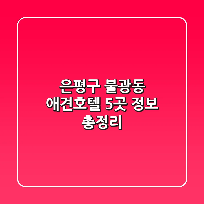 은평구 불광동 애견호텔 5곳 정보 총정리