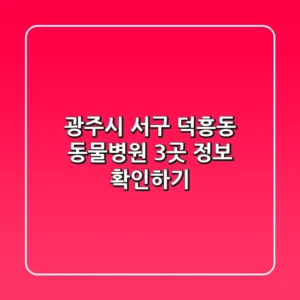 광주시 서구 덕흥동 동물병원 3곳 정보 확인하기
