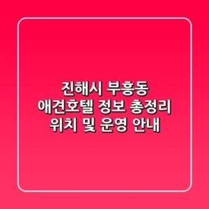 진해시 부흥동 애견호텔 정보 총정리 - 위치 및 운영 안내