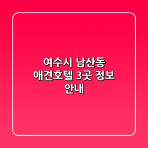 여수시 남산동 애견호텔 3곳 정보 안내