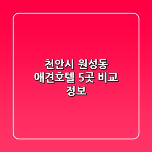 천안시 원성동 애견호텔 5곳 비교 정보