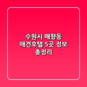 수원시 매향동 애견호텔 5곳 정보 총정리