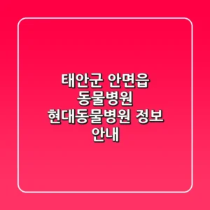태안군 안면읍 동물병원: 현대동물병원 정보 안내
