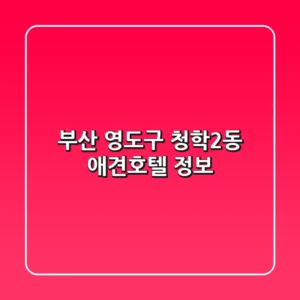 부산 영도구 청학2동 애견호텔 정보