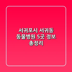 서귀포시 서귀동 동물병원 5곳 정보 총정리