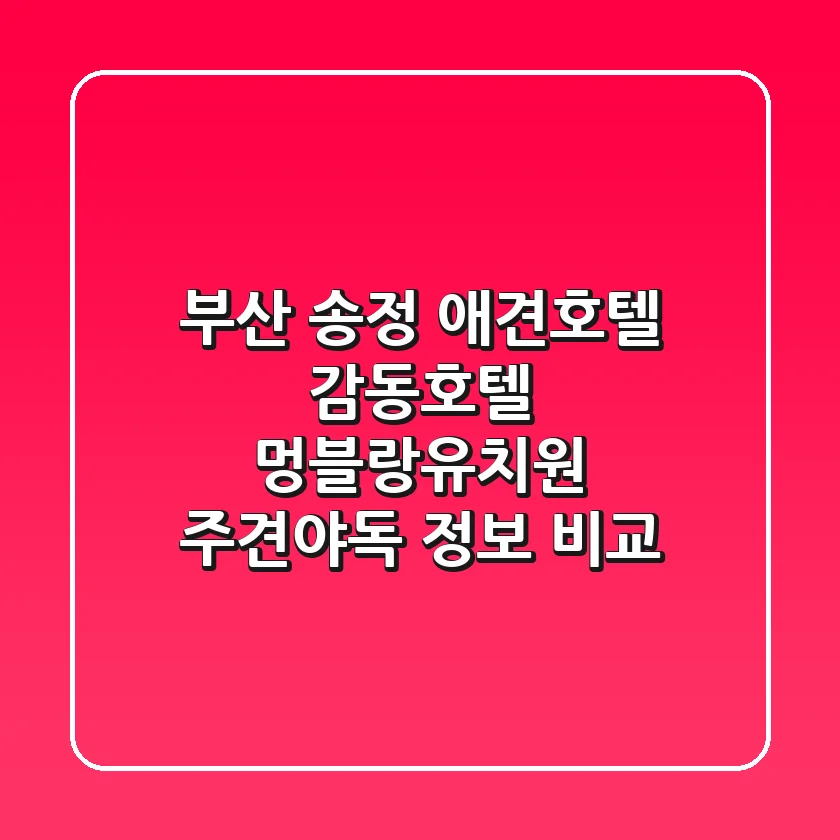 부산 송정 애견호텔: 감동호텔, 멍블랑유치원, 주견야독 정보 비교