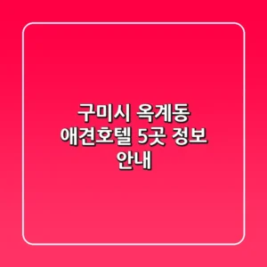 구미시 옥계동 애견호텔 5곳 정보 안내