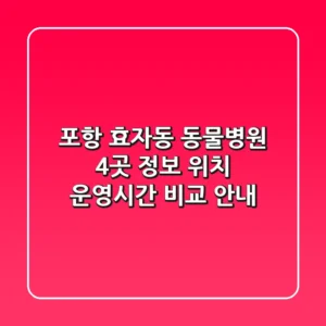 포항 효자동 동물병원 4곳 정보 - 위치, 운영시간 비교 안내