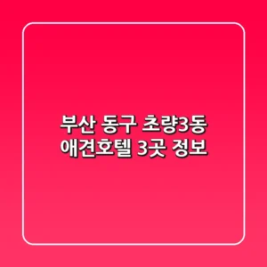 부산 동구 초량3동 애견호텔 3곳 정보