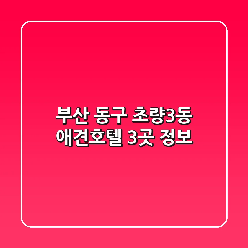 부산 동구 초량3동 애견호텔 3곳 정보