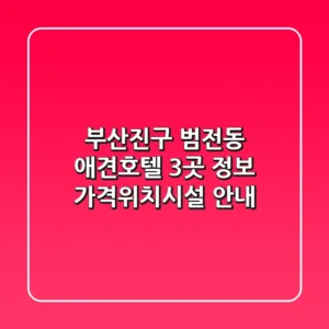 부산진구 범전동 애견호텔 3곳 정보 - 가격/위치/시설 안내