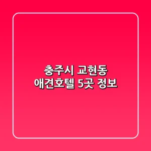 충주시 교현동 애견호텔 5곳 정보