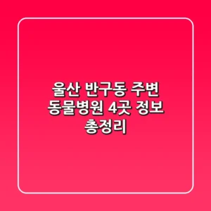 울산 반구동 주변 동물병원 4곳 정보 총정리