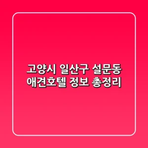 고양시 일산구 설문동 애견호텔 정보 총정리