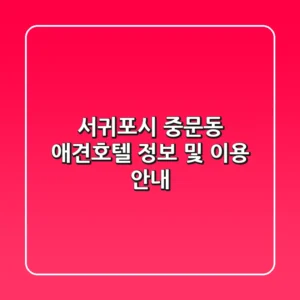 서귀포시 중문동 애견호텔 정보 및 이용 안내