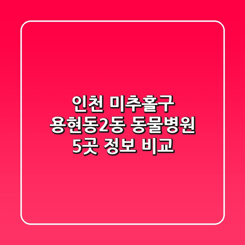 인천 미추홀구 용현동2동 동물병원 5곳 정보 비교