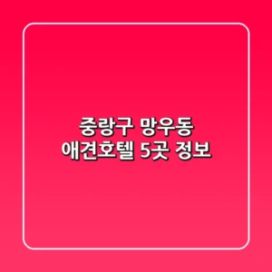 중랑구 망우동 애견호텔 5곳 정보
