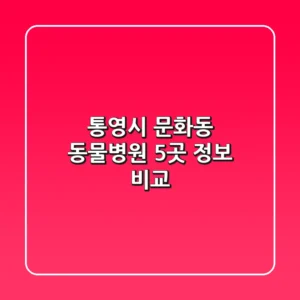 통영시 문화동 동물병원 5곳 정보 비교