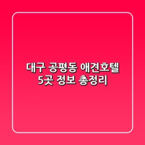 대구 공평동 애견호텔 5곳 정보 총정리